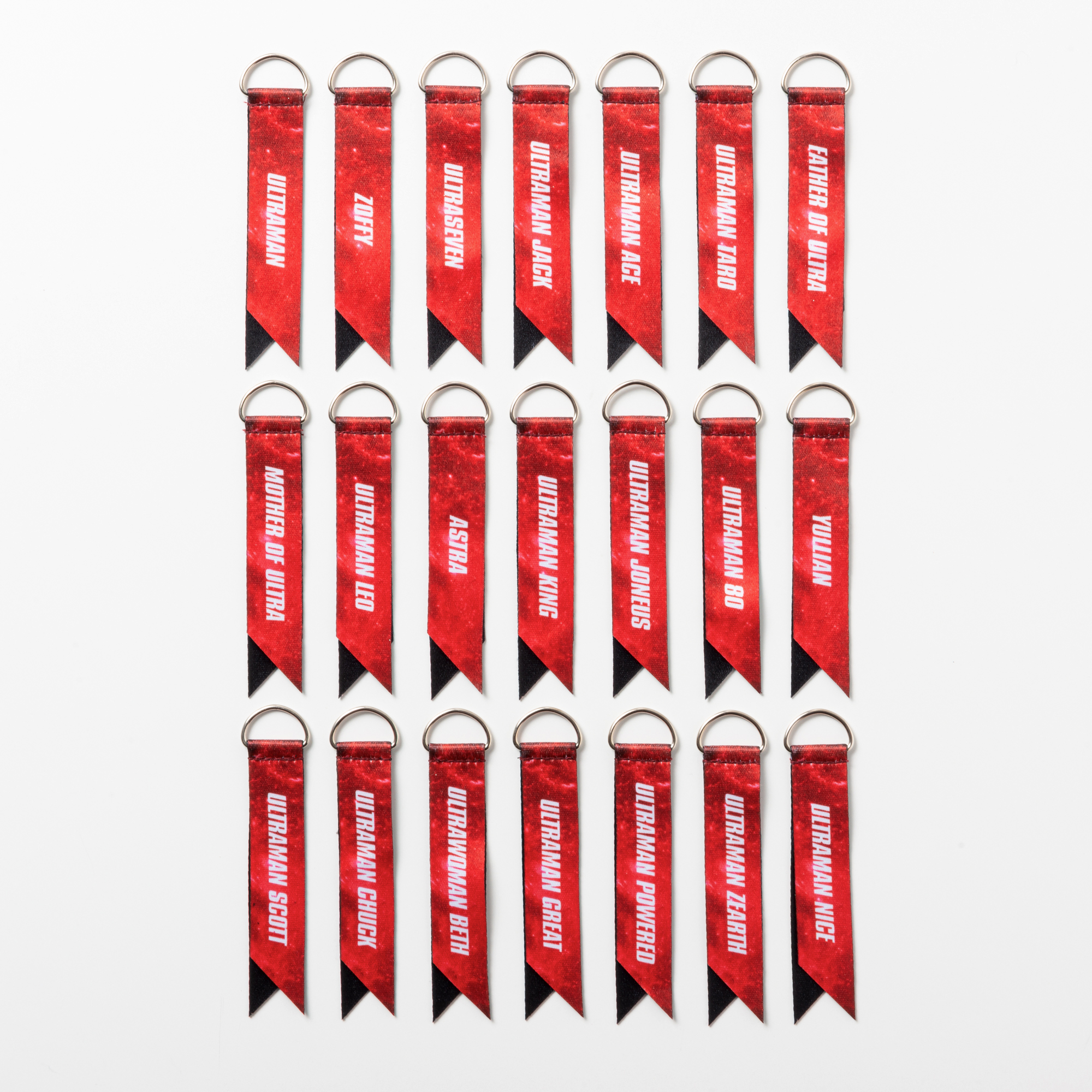 ランダムボンフィンストラップ vol.1 全21種 コンプリートセット