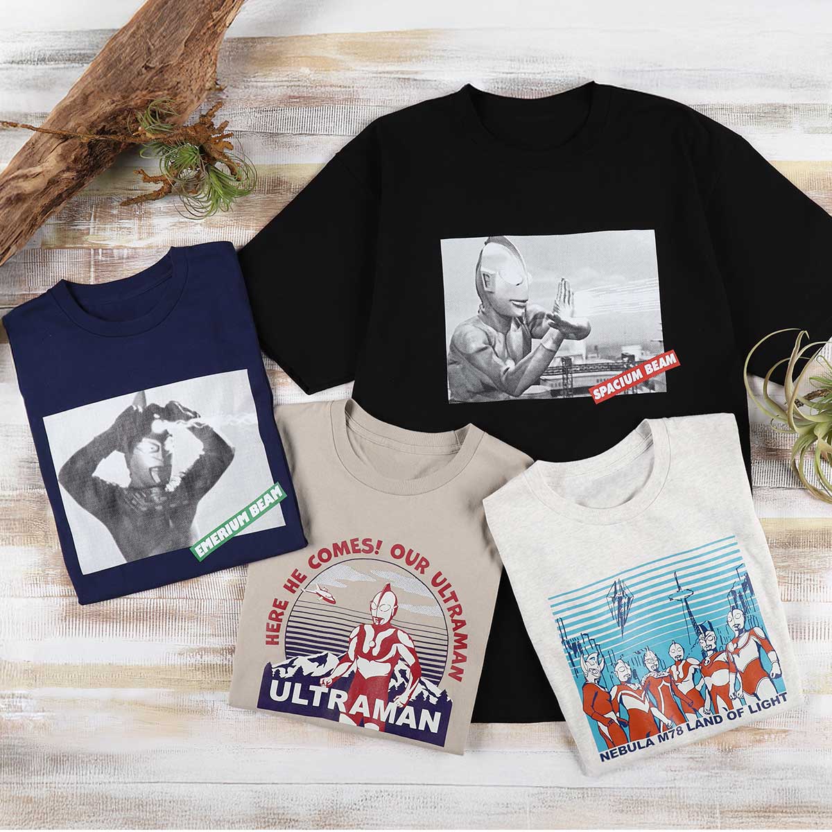 Tシャツ LAND OF LIGHT 54360 M ～ XL 《ウルトラマンSHOP限定
